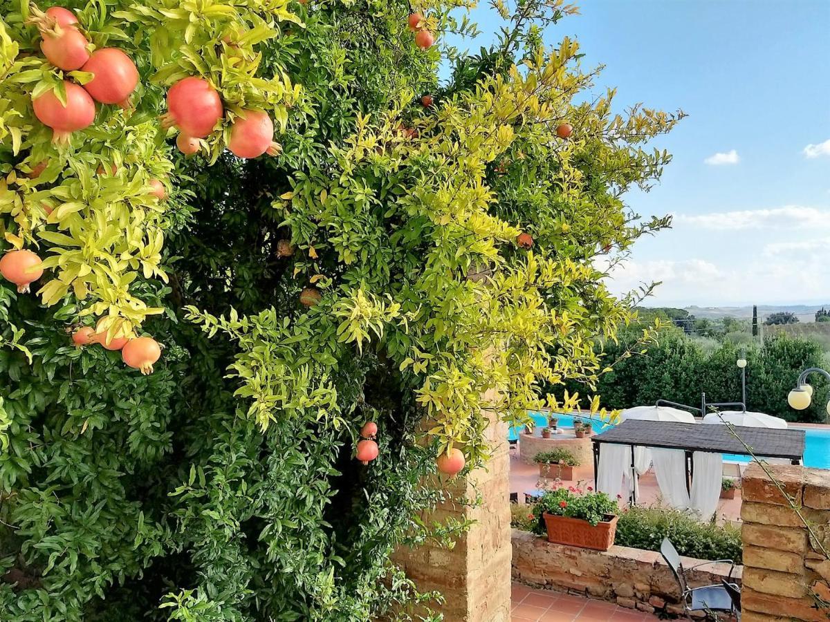 Hotel Curina Castelnuovo Berardenga